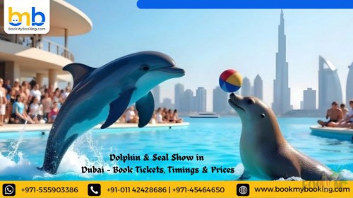 Dolphin--Seal-Show-in-Dubai---Book-Tickets-Timings--Prices.jpg