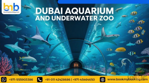 Dubai-aquarium-and-underwater-zoo.jpg